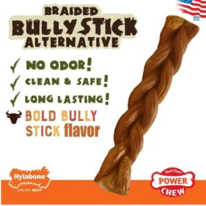 nylabone stick image